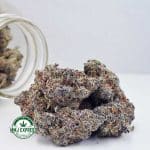 Buy Cannabis First Class Funk AAAA+, Craft at MMJ Express Online Shop