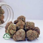 Buy Cannabis Cereal Killer AA at MMJ Express Online Shop