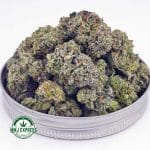 Buy Cannabis Platinum Pave AAAA (Popcorn Nugs) at MMJ Express Online Shop