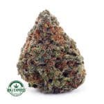 Buy Cannabis Gummy Bearz AAAA at MMJ Express Online Shop