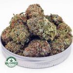 Buy Cannabis Gummy Bearz AAAA at MMJ Express Online Shop