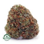 Buy Cannabis Roji OG AAA at MMJ Express Online Shop