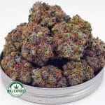 Buy Cannabis Permanent Marker AAAA at MMJ Express Online Shop