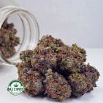 Buy Cannabis Permanent Marker AAAA at MMJ Express Online Shop