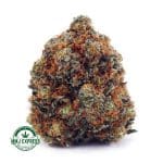 Buy Cannabis Candyland AAAA at MMJ Express Online Shop