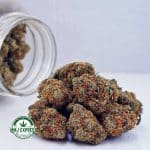 Buy Cannabis Candyland AAAA at MMJ Express Online Shop