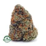 Buy Cap Junky AAA at MMJ Express Online Shop