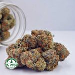 Buy Cap Junky AAA at MMJ Express Online Shop