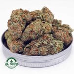 Buy Cannabis Romulan AA at MMJ Express Online Shop