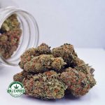 Buy Cannabis Romulan AA at MMJ Express Online Shop