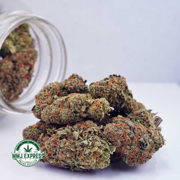 Buy Cannabis Romulan AA at MMJ Express Online Shop