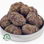 Buy Cannabis Blueberry Stomper AAA at MMJ Express Online Shop