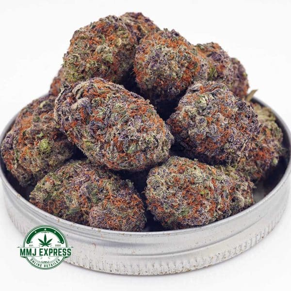 Buy Cannabis Blueberry Stomper AAA at MMJ Express Online Shop