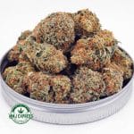 Buy Cannabis Frosted Donuts AA at MMJ Express Online Shop