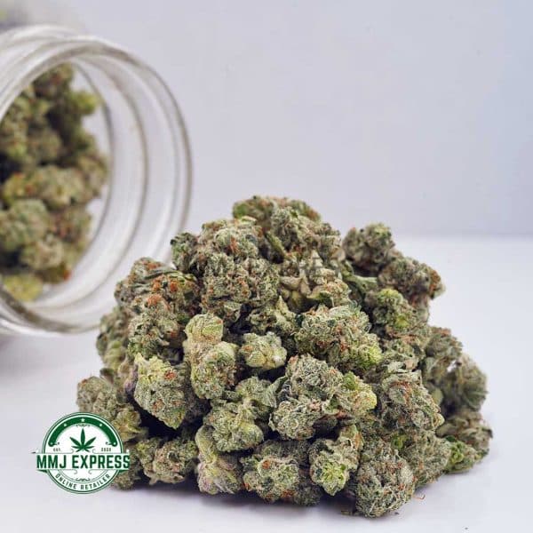 Buy Cannabis Cereal Milk AAAA (Popcorn Nugs) at MMJ Express Online Shop
