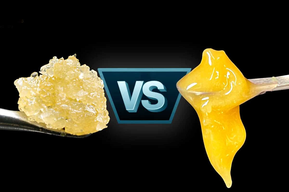 Live Resin and Live Rosin comparison