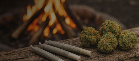 mmj free gift banner