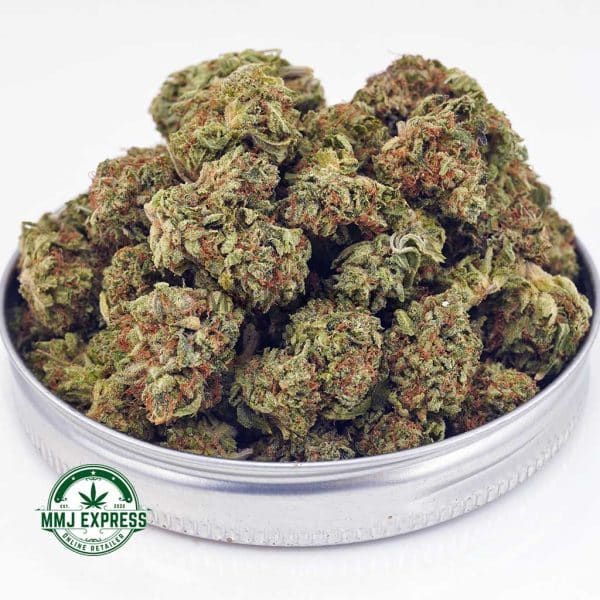 Buy Cannabis Larry Bird AAAA (Popcorn Nugs) MMJ Express Online Shop