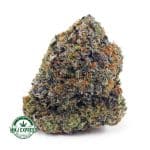 Buy Cannabis Jean Guy AAAA at MMJ Express Online Shop