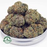 Buy Cannabis Jean Guy AAAA at MMJ Express Online Shop
