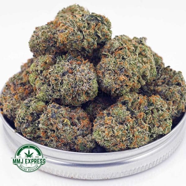 Buy Cannabis Jean Guy AAAA at MMJ Express Online Shop