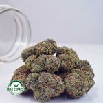 Buy Cannabis Jean Guy AAAA at MMJ Express Online Shop