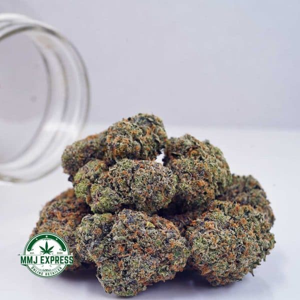 Buy Cannabis Jean Guy AAAA at MMJ Express Online Shop