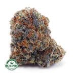 Buy Cannabis Big Buddha Cheese AAA at MMJ Express Online Shop