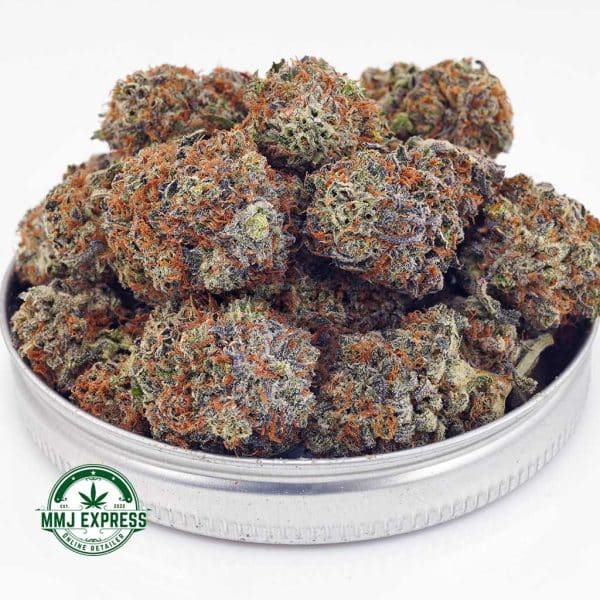 Buy Cannabis Big Buddha Cheese AAA at MMJ Express Online Shop