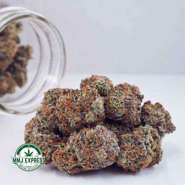 Buy Cannabis Big Buddha Cheese AAA at MMJ Express Online Shop